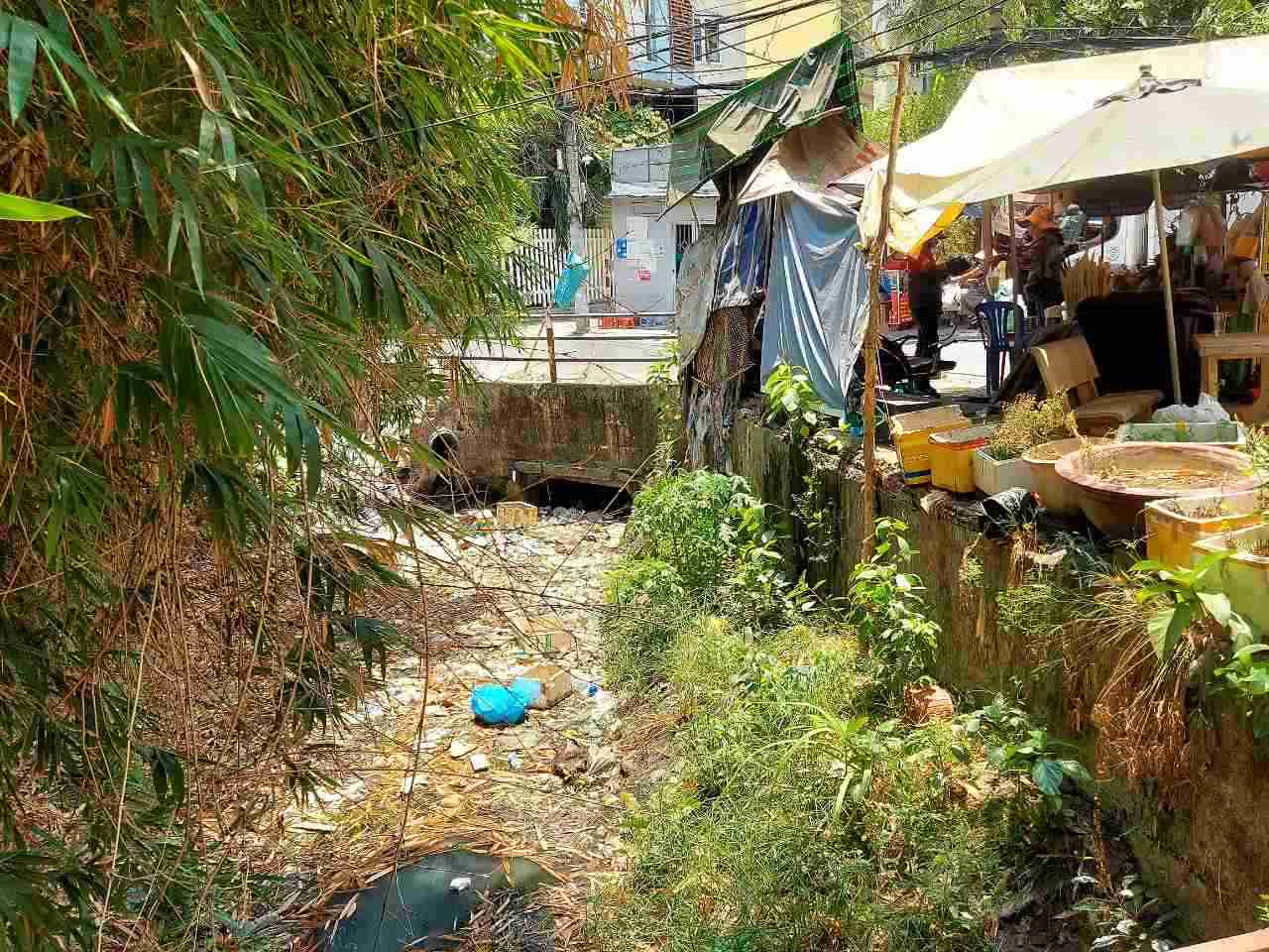 Hinh anh kenh A41 o nhiem, bi lan chiem truoc khi cai tao.  Anh: Minh Quan