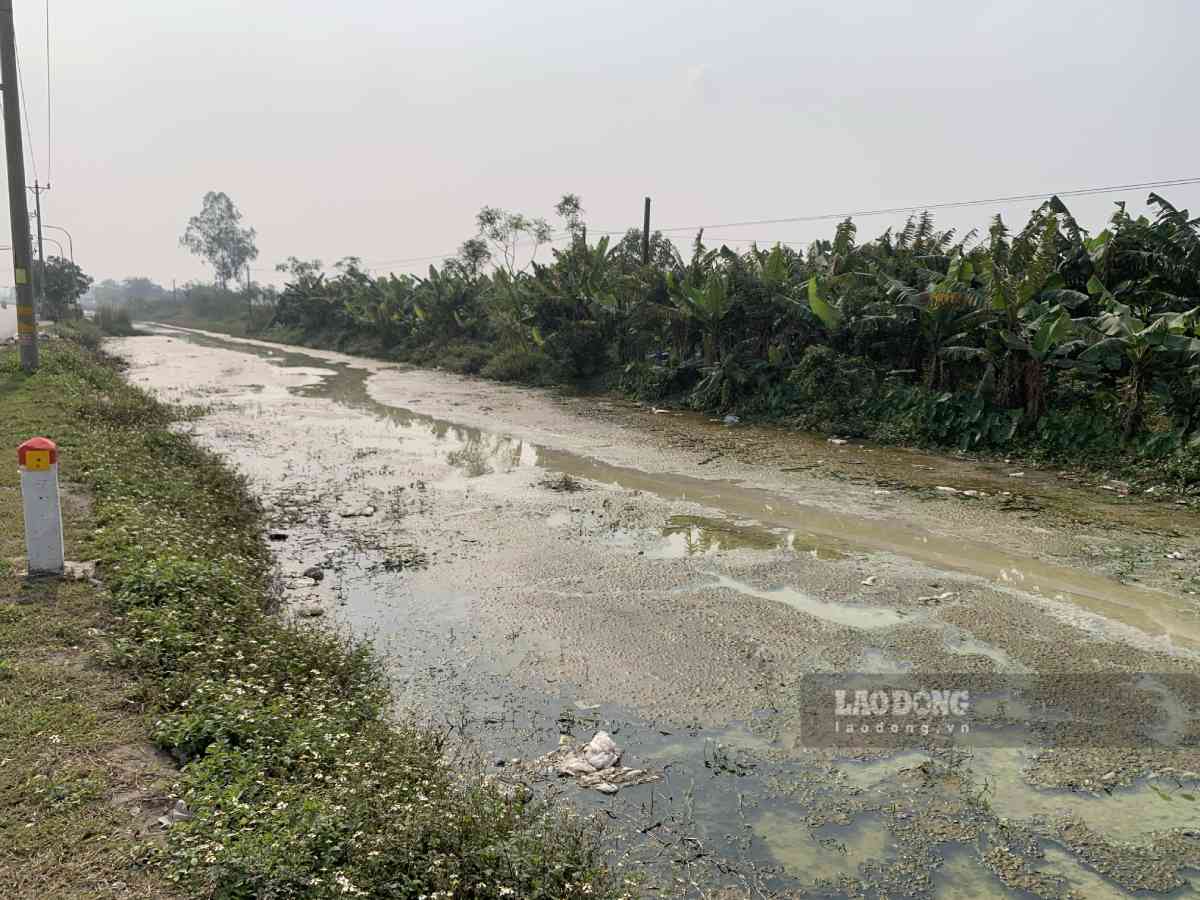 He thong kenh, muong lang nghe Binh Yen (xa Nam Ninh, tinh Ninh Binh) o nhiem nghiem trong. Anh: Ha Vi