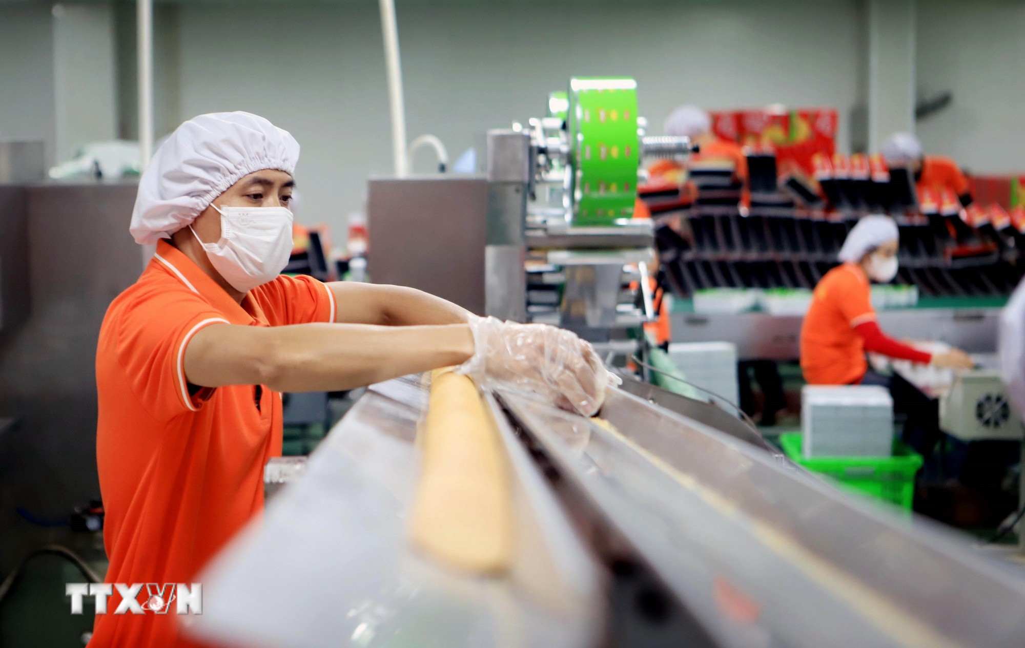 Phat trien ly luan ve chu nghia xa hoi la dong luc dan dat Viet Nam trong ky nguyen moi. Anh: TTXVN