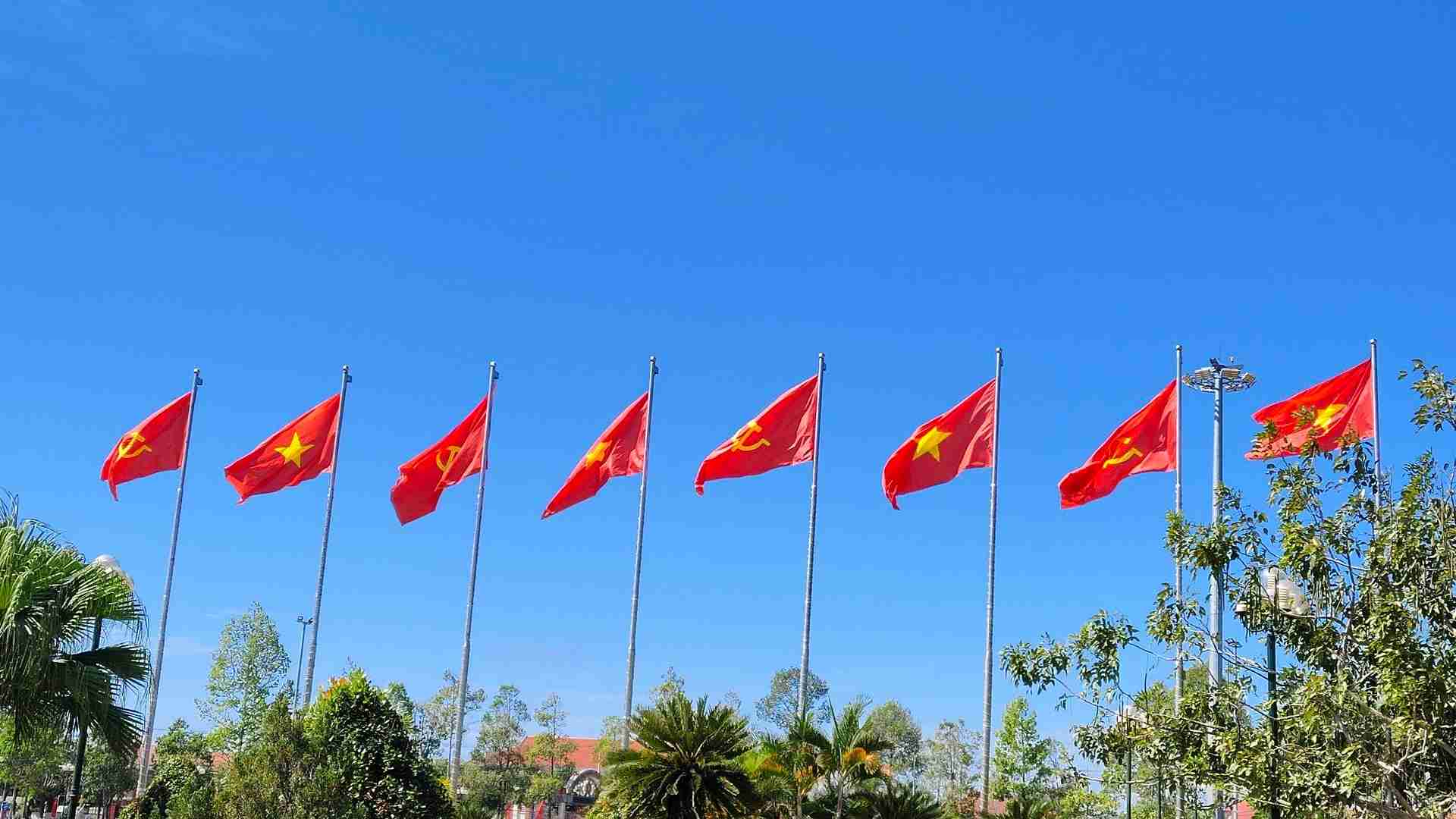 Lam Dong brilliantly celebrates the 14th National Party Congress with flags and flowers. Photo: Phuc Khanh