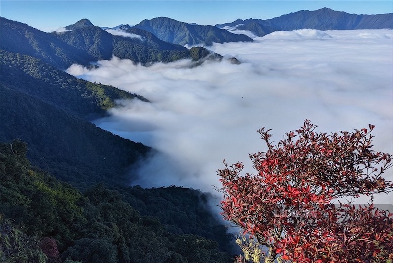 Tà Xùa lọt top 26 điểm đến đáng ghé thăm nhất thế giới năm 2026. 
