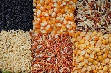 Whole grains are one of the effective vitamin supplements for workers after 40 years old. Photo: Thu Thuy