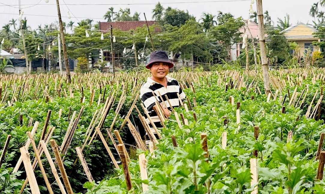 Nong dan xa Ve Giang phan khoi vi hoa Tet duoc gia. Anh: Vien Nguyen