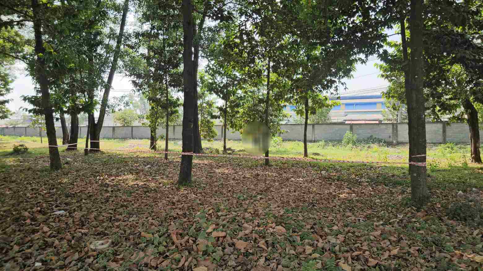 Scene of a young man dying in a garden in an industrial park in Ho Chi Minh City. Photo: Dinh Trong