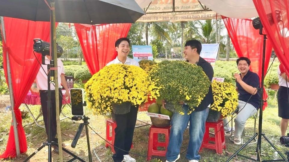 Cuc mam xoi no som tai lang hoa Cho Lach duoc tieu thu qua cac phien livestream, gop phan giup nong dan giam ap luc dau ra truoc Tet. Anh: Hoang Loc