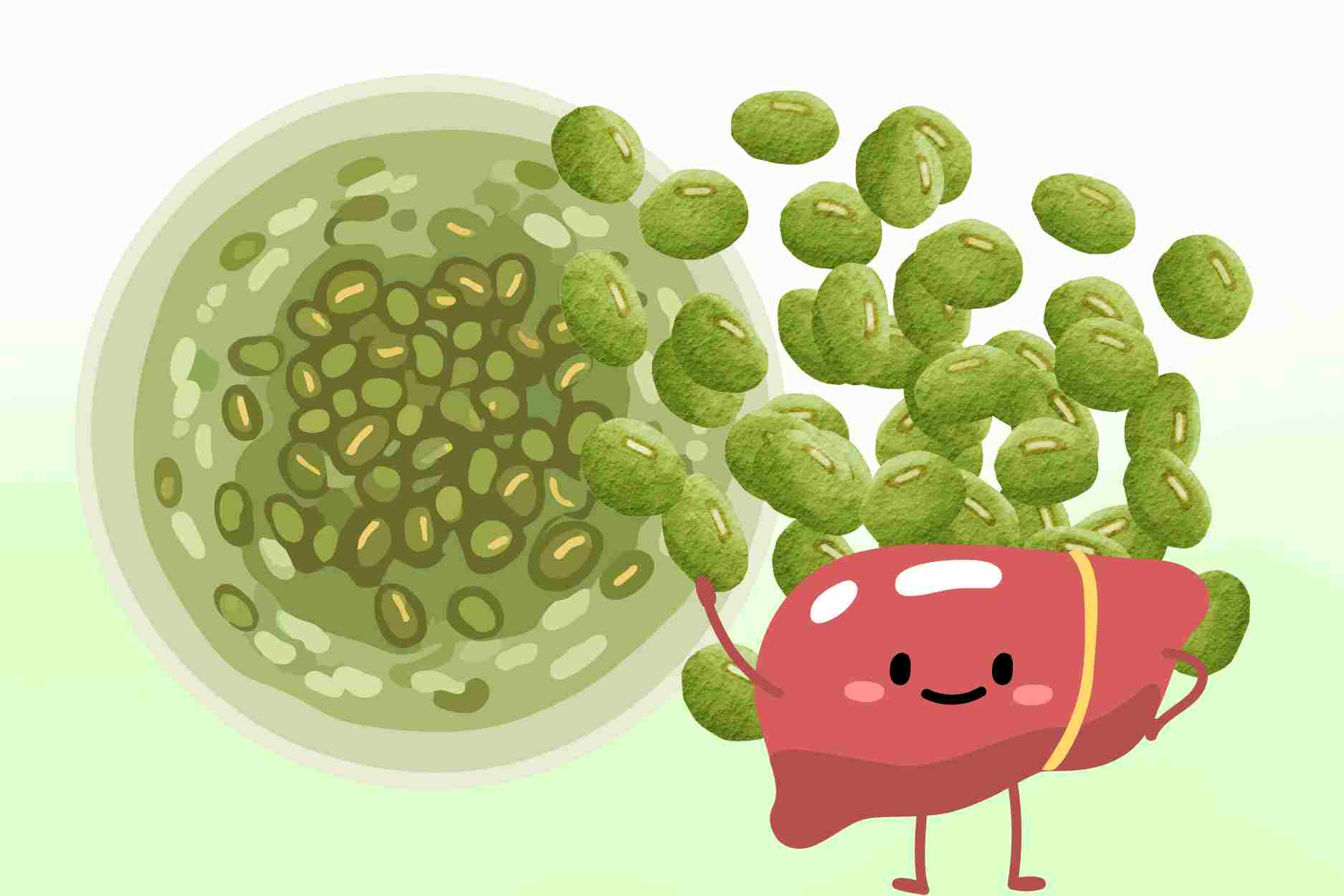 How to drink roasted green beans to help cool down and detoxify the liver