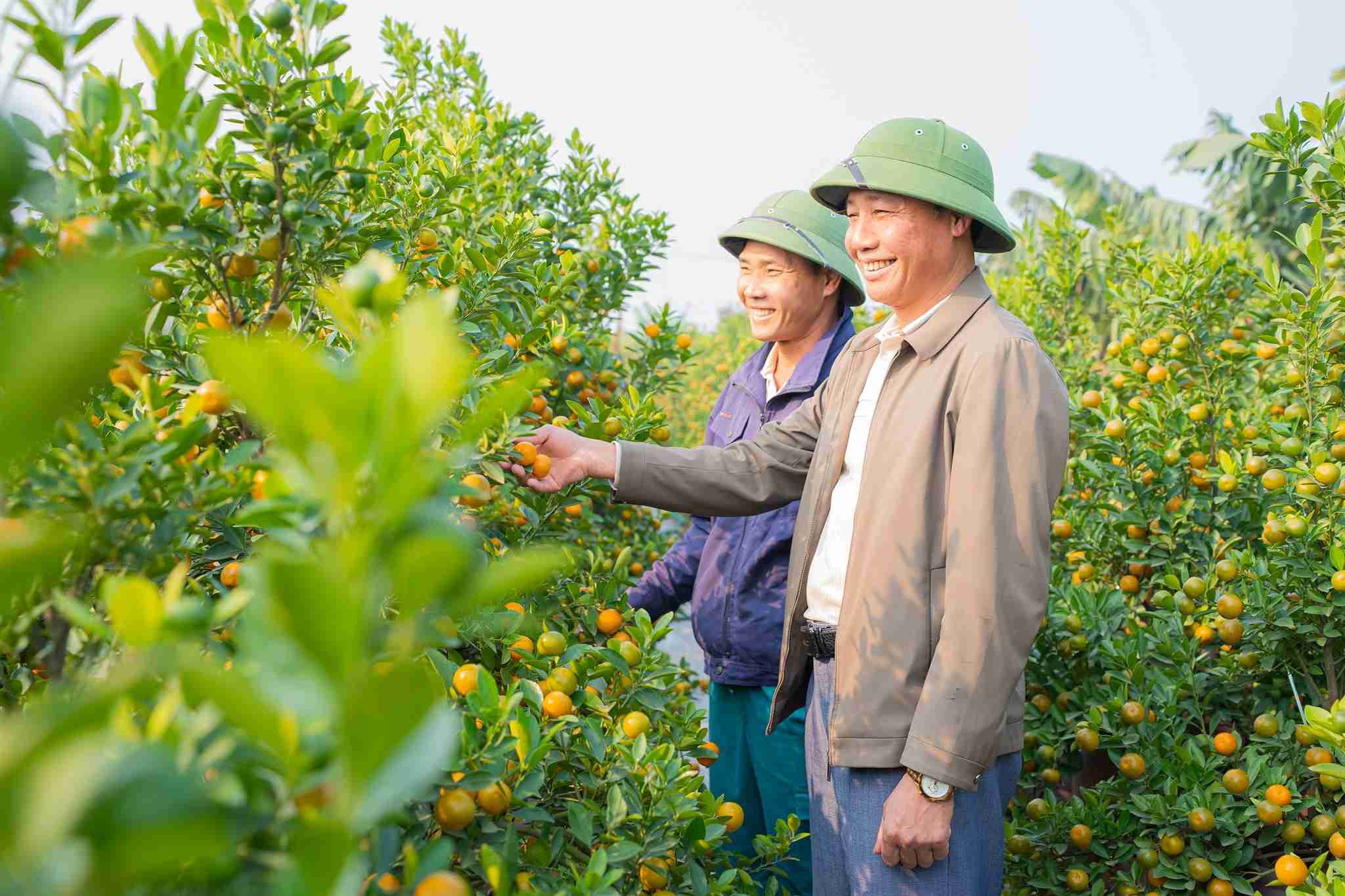 Ong Duy Bay trao doi ve hieu qua kinh te tu nghe trong quat. Anh: Thanh Luan