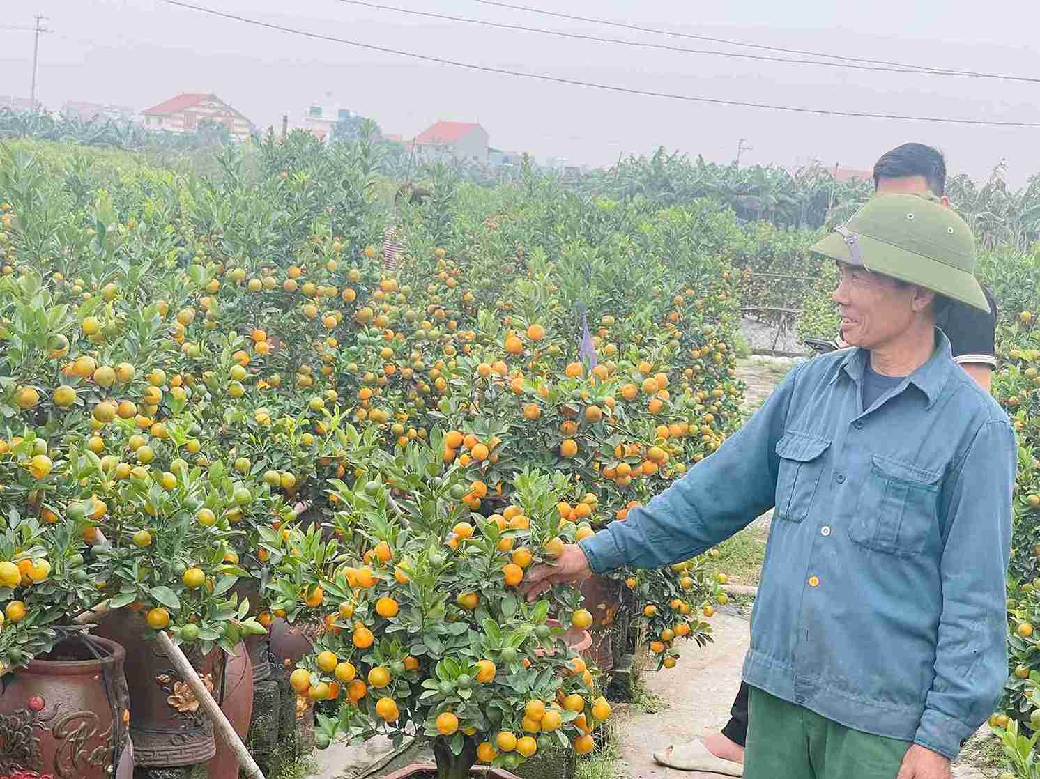 Ong Do Van Phien kiem tra lai nhung chau quat con lai trong vuon truoc ngay xuat ban. Anh: Mai Huong