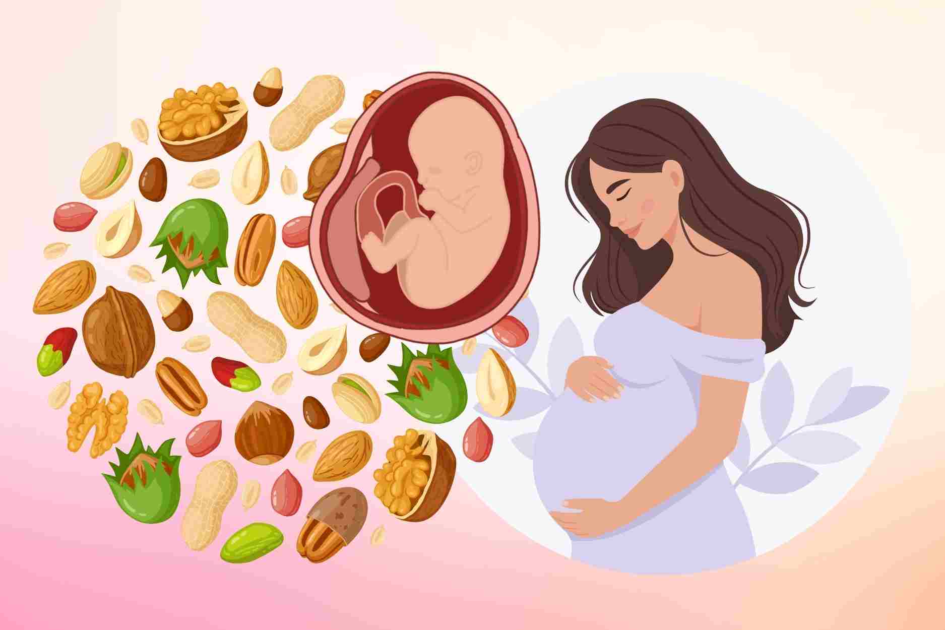 Nuts that support mother and fetal health in the first three months of pregnancy