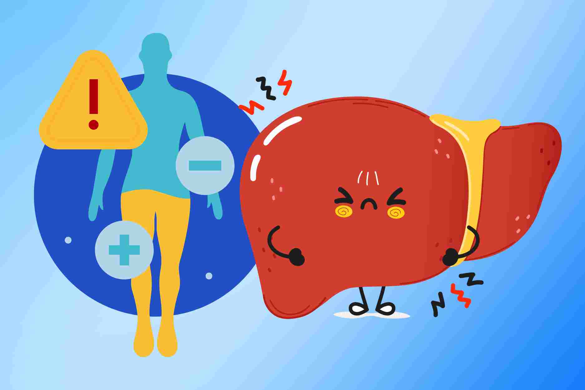 What happens to the liver when the body lacks magnesium