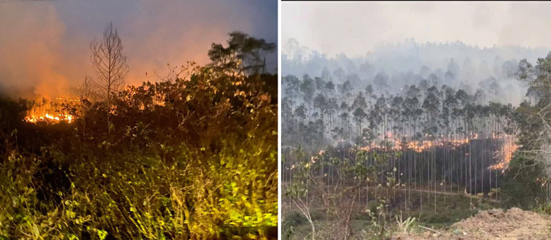 A forest fire just occurred in Cao Bang. Photo: Duy Dung