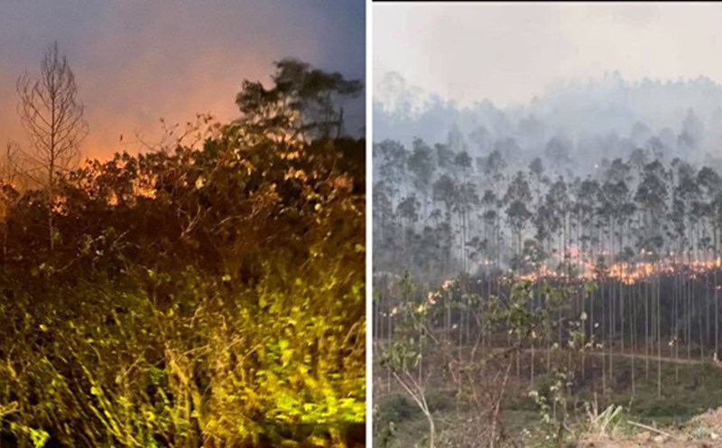 Cao Bang continues to classify administrative units at provincial and ...