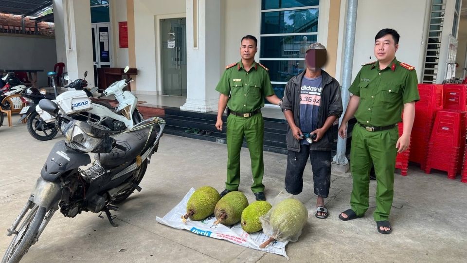 잭프루트 절도 사건과 관련된 용의자와 차량은 처리 서류를 보강하기 위해 구금되었습니다. 사진: 공안 제공.