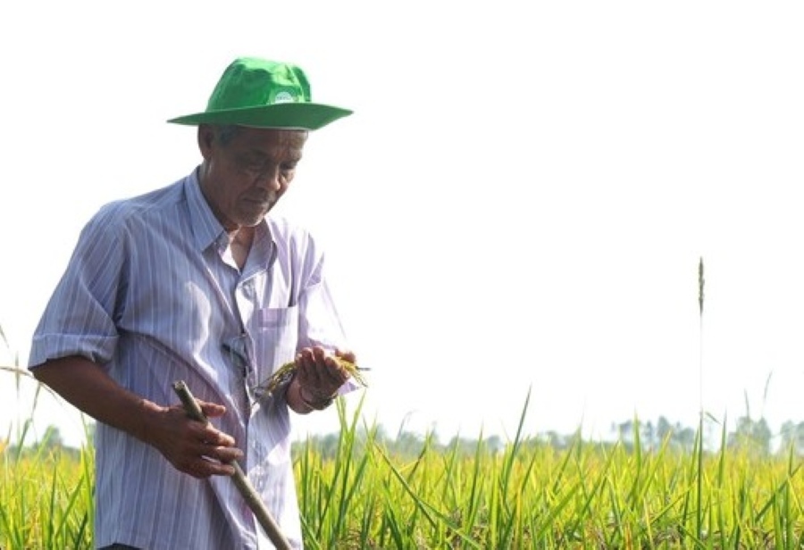 Ong Nguyen Van Trung, Ca Mau mong sap toi dau tu ha tang nong thon nhieu hon. Anh: Nhat Ho