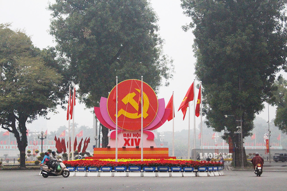 Tai khu vuc trung tam thanh pho, nhieu tuyen pho lon tro thanh diem nhan sinh dong voi hoa va to hop cay canh duoc bo tri hai hoa.