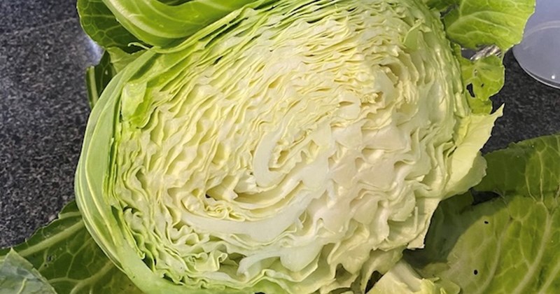Rau bắp cải tốt cho người lao động làm việc nặng nhọc trong mùa đông