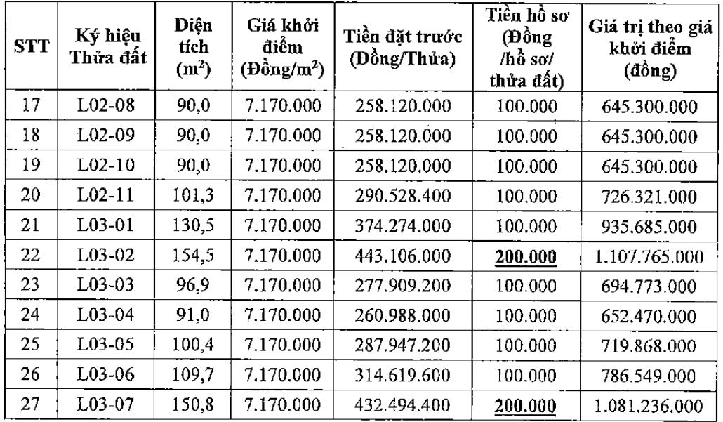 Thong tin phien dau gia 27 thua dat tai diem YB2, thon Yen Bai, xa Tien Thang, thanh pho Ha Noi. Anh: 