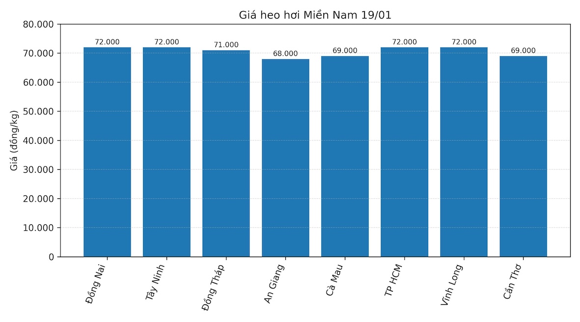 Gia heo hoi hom nay 19.1 tai khu vuc mien Nam. Do hoa: Thuy Linh