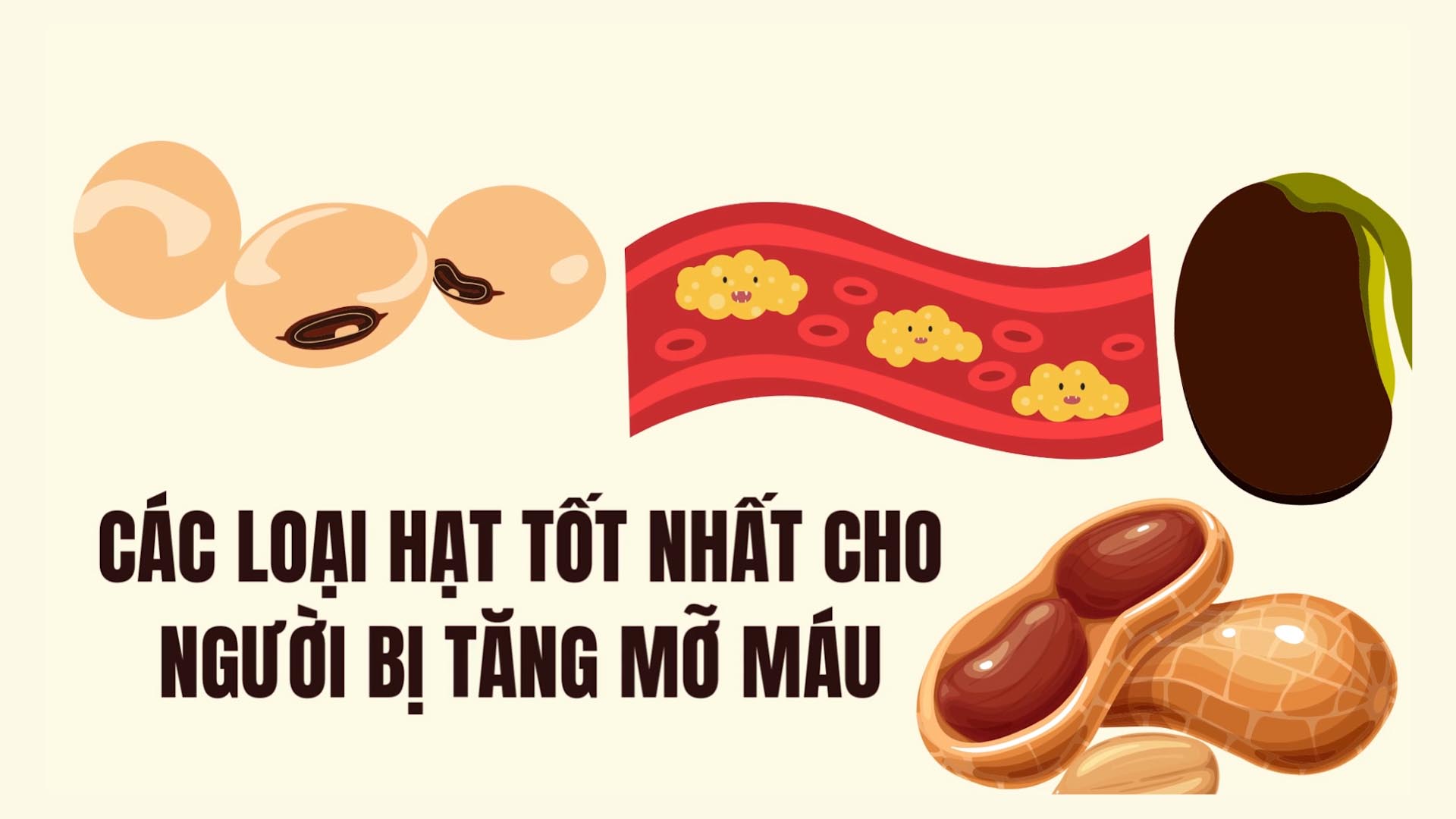 The best nuts for people with high blood fat