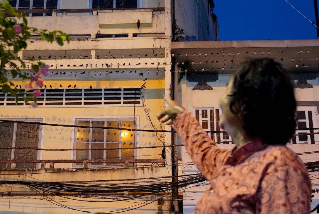 Ban dau, nguoi dan to ra thich thu truoc canh tuong chim en tu ve day dac hien tuong hiem thay giua pho.