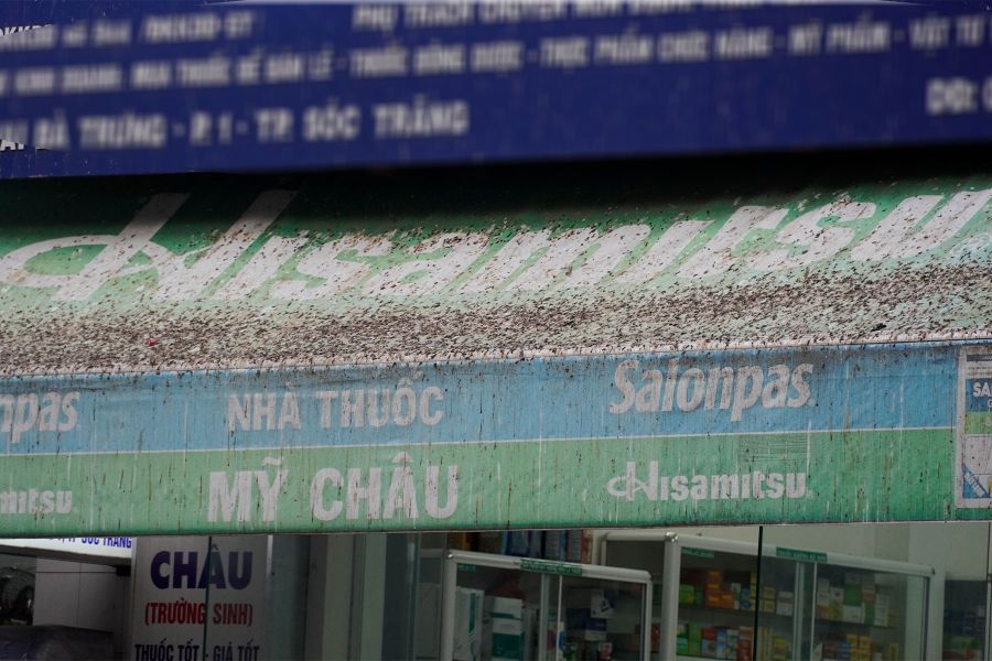 Mot bang hieu nha thuoc tren duong Hai Ba Trung day phan chim.