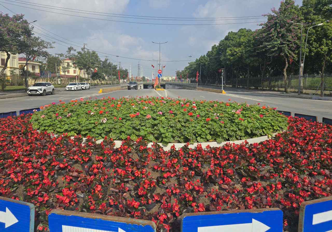 Cac vong xuyen o khu vuc nga ba, nga tu cua phuong Hoa Lu cung duoc chinh trang lai va trong hoa . Anh: Dieu Anh