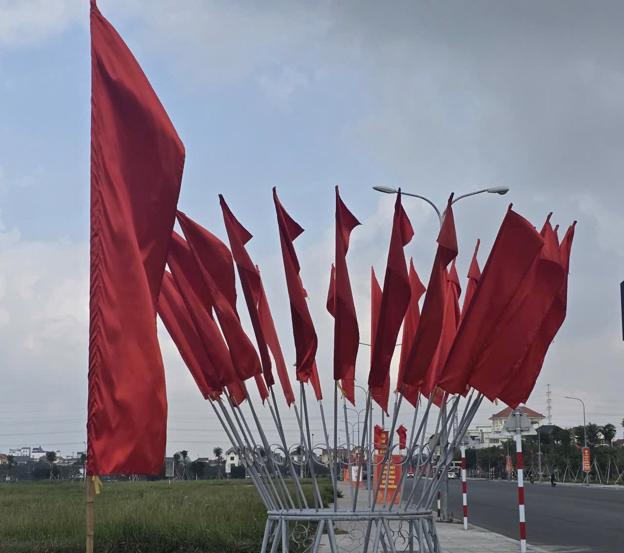 Co hoa duoc trang hoang ruc ro tren tuyen duong Dinh Tat Mien (phuong Hoa Lu, Ninh Binh). Anh: Dieu Anh