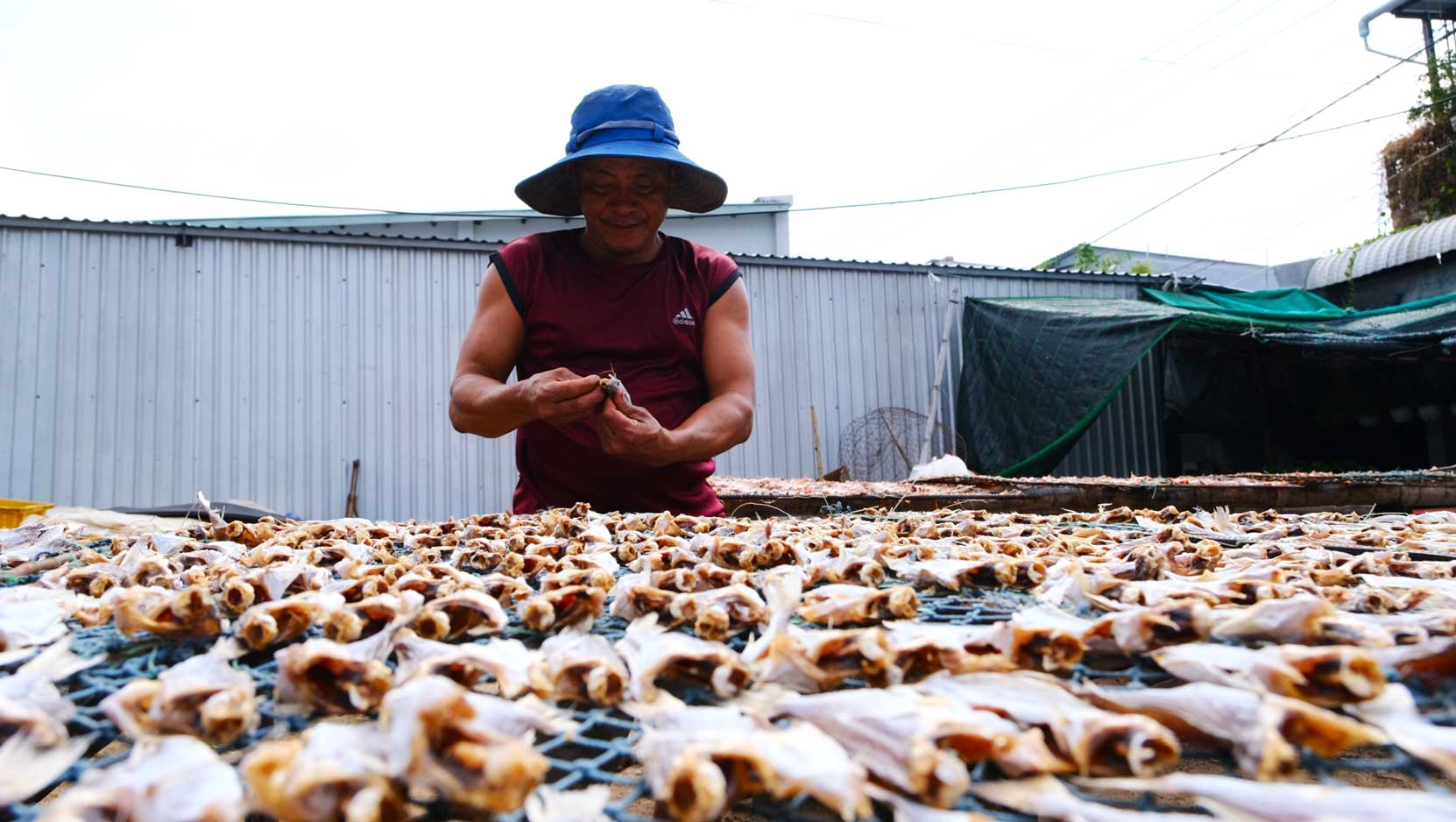 Anh Truong lien tuc dao kho de dat chat luong tot nhat. Anh: My Ly