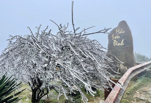 Cold air causing severe cold and harmful cold will cause frost and frost in some areas. Photo: Tan Van