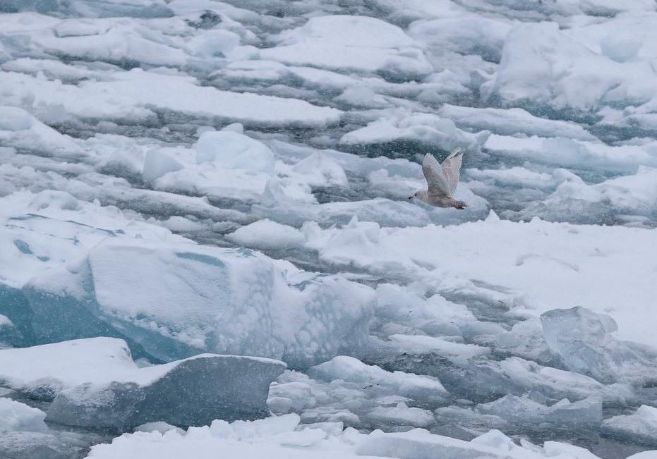 Duoi nhieu khu vuc bang cua Greenland ton tai nhung lop tram tich mem, day toi khoang 200m. Anh: Xinhua