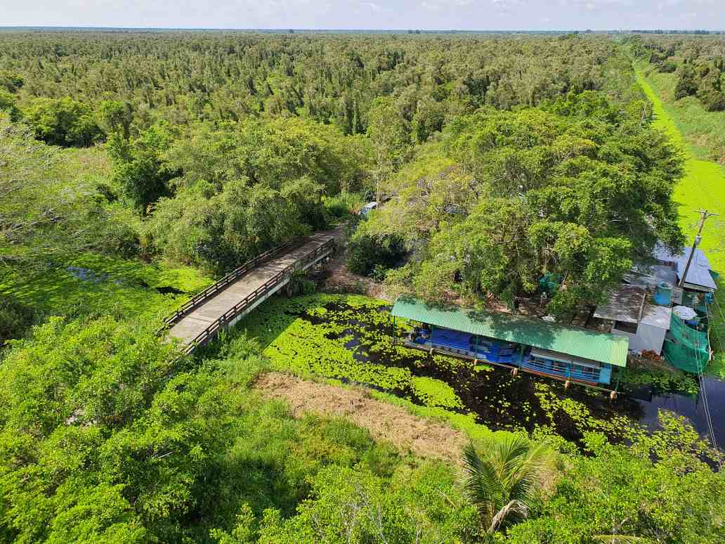 Nhung canh rung tram U Minh Ha, Ca Mau noi co nhieu san vat noi tieng trong do co nghe gac keo ong. Anh: Nhat Ho.