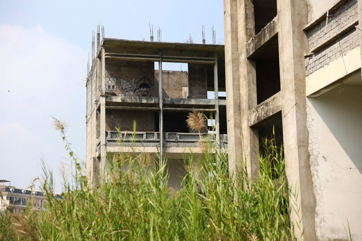 Cỏ xanh mọc um tùm xung quanh dự án. Ảnh: Minh Tâm