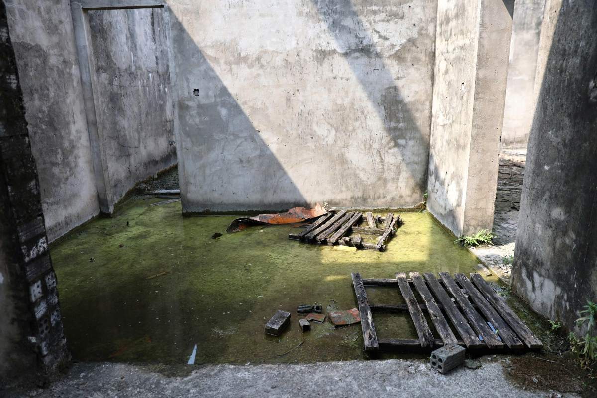 Nước đọng lại tạo thành mảng rêu xanh. Ảnh: Minh Tâm