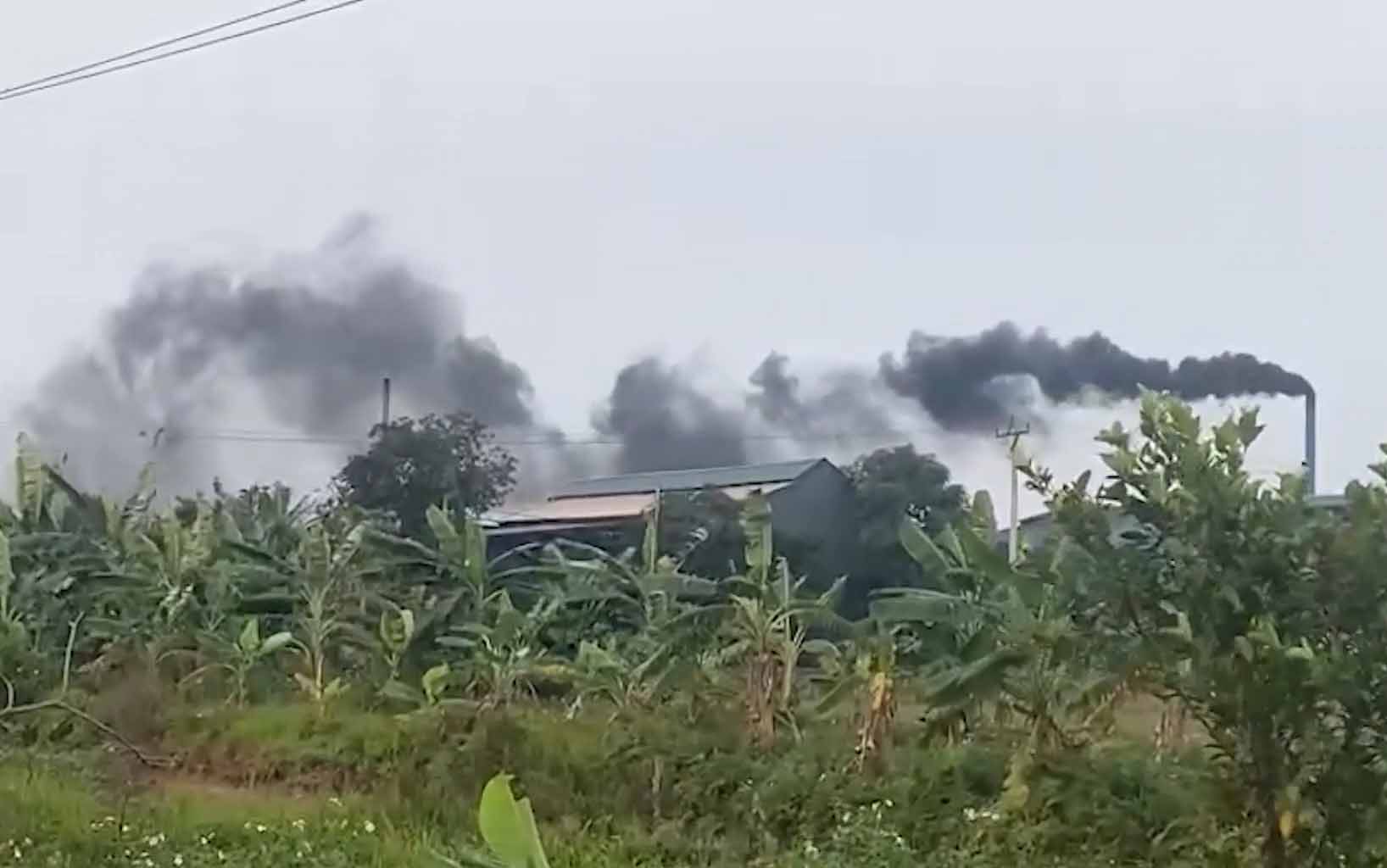 Black smoke column discharged from the rice noodle production facility of Tu Ne village (Luong Tai, Bac Ninh), March 2024. Photo: Van Truong