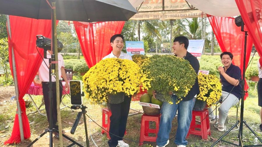 The livestream session at Cho Lach helped sell more than 1,800 pots of chrysanthemum mums after just over 2 hours of broadcasting. Photo: Hoang Loc