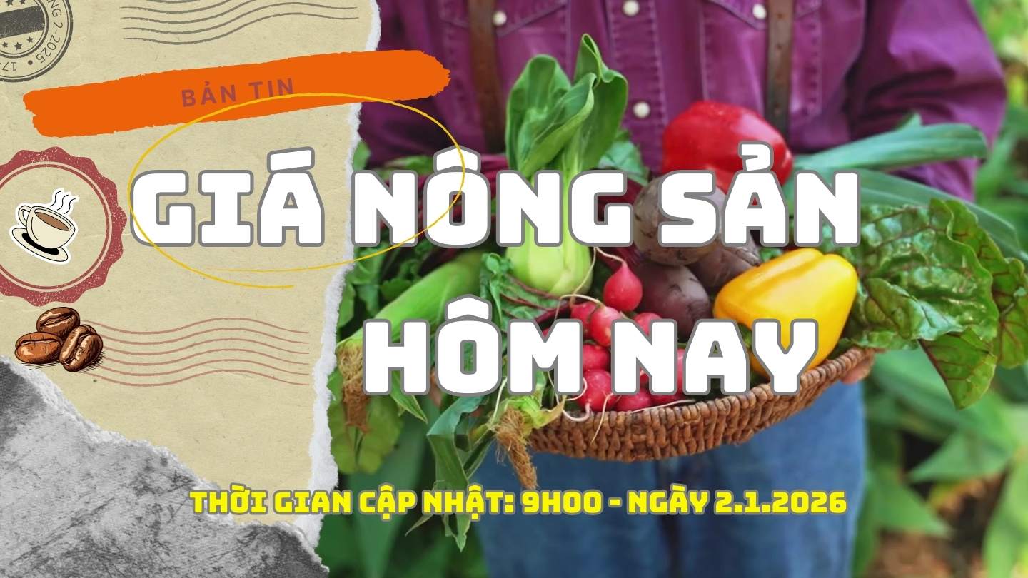 Precios de los productos agricolas hoy 2 de enero de 2026: Despues de un fuerte aumento, el cafe se estabiliza gradualmente