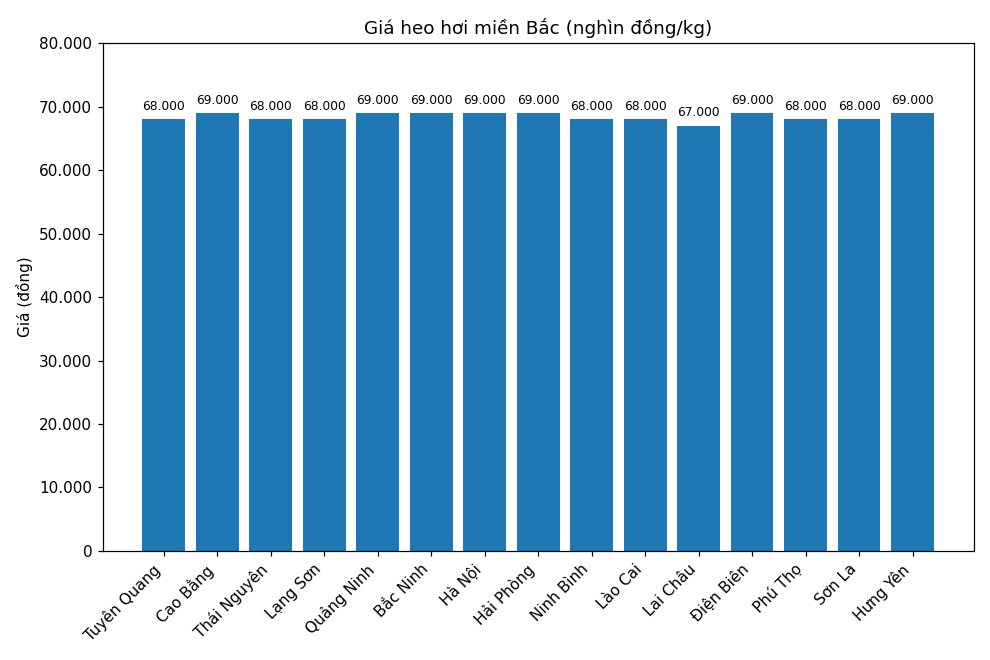 Gia heo hoi hom nay 2.1 tai khu vuc mien Bac. Do hoa: Thuy Linh