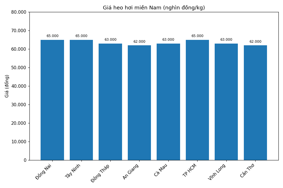 Gia heo hoi hom nay 2.1 tai khu vuc mien Trung. Do hoa: Thuy Linh