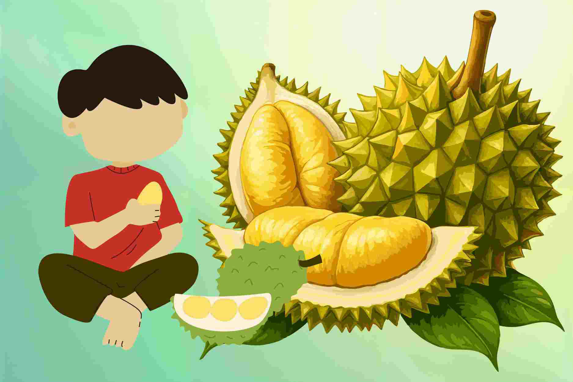 What happens to the liver when you eat durian regularly