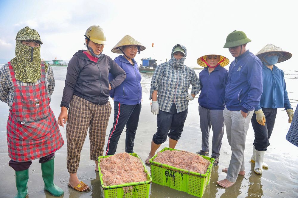 Tren bo, cac thuong lai cho san, san sang thu mua hai san ngu dan danh bat duoc. Anh: Quach Du