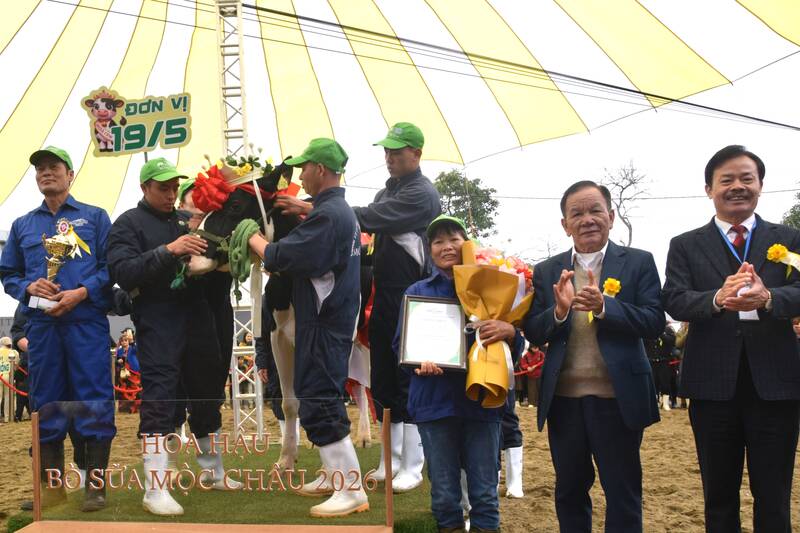 BTC trao vuong mien Hoa hau bo sua Moc Chau nam 2026 cho “co bo sua” mang so hieu HF215505 cua chu ho Tran Van Da, don vi 19.5. Anh: Trung Hai