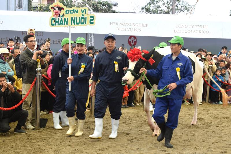 Trinh dien phan thi Hoa hau bo sua Moc Chau. Anh: Trung Hai