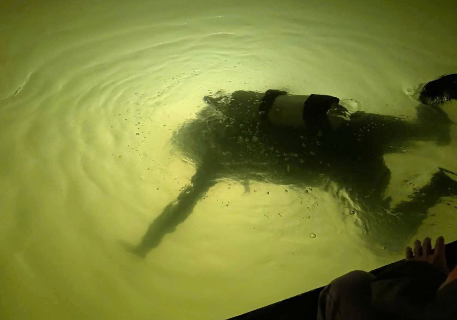 Divers find gold for the person who dropped it. Photo: Nhat Hoang.