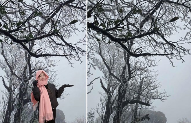 Strong cold air waves in the Northern mountainous region may cause frost and ice. Photo: Duy Dung