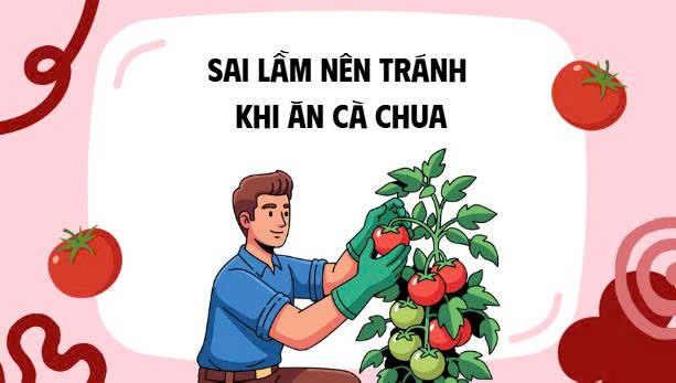 Mistakes to avoid when eating tomatoes