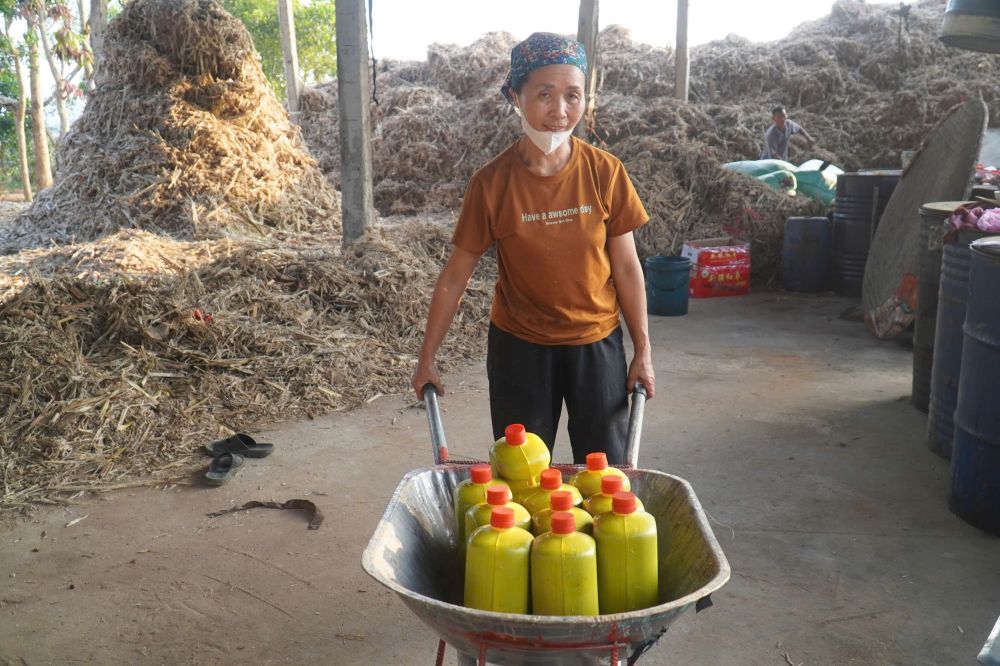 Nhung can mat mia ra lo, san sang phuc vu nguoi dan don Tet. Anh: Quach Du