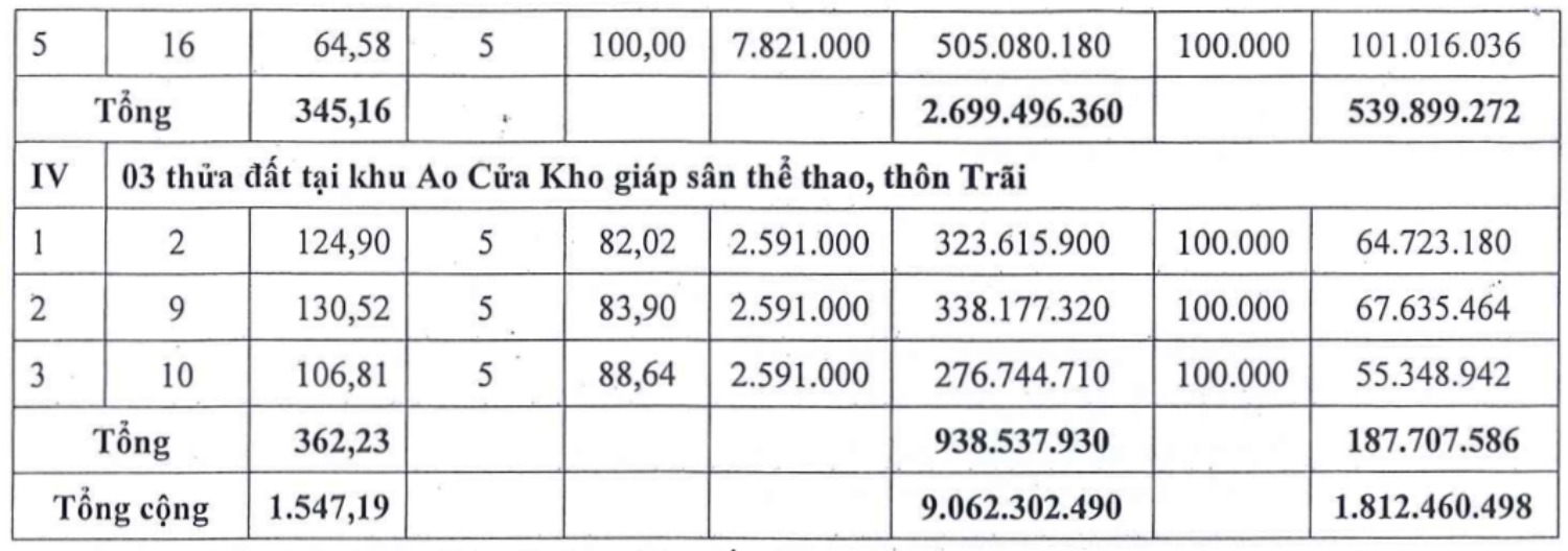 Thong tin phien dau gia. Anh: