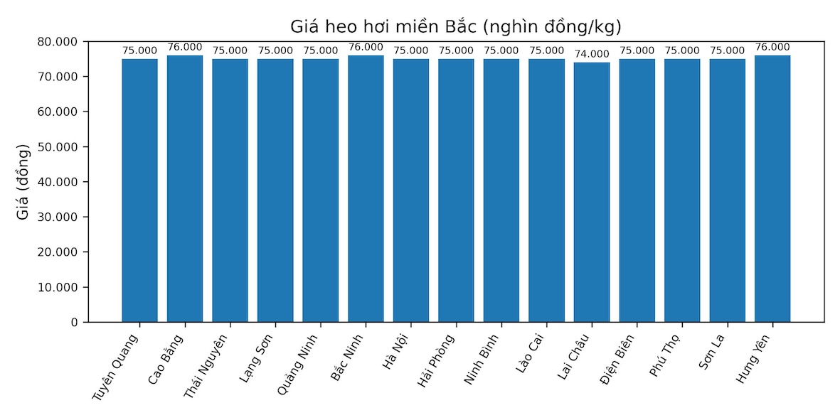 Gia heo hoi hom nay 20.1 tai khu vuc mien Bac. Do hoa: Thuy Linh