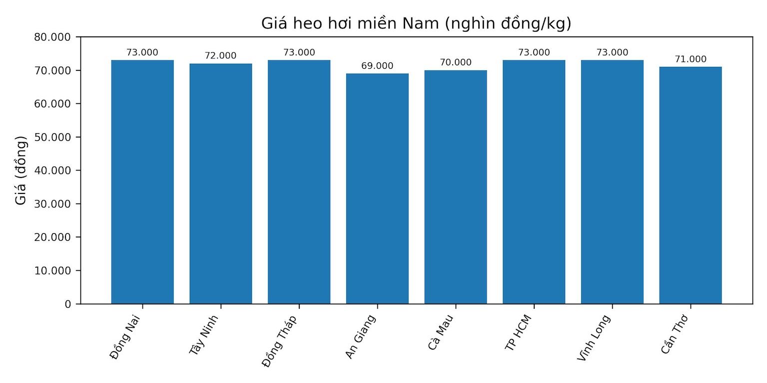 Gia heo hoi hom nay 20.1 tai khu vuc mien Nam. Do hoa: Thuy Linh