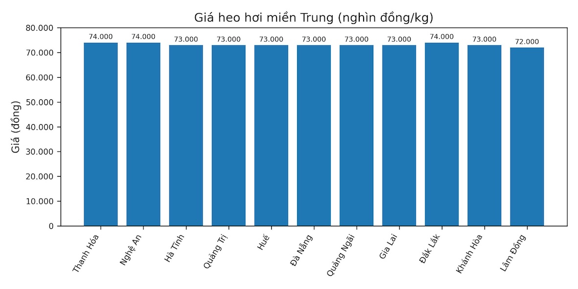 Gia heo hoi hom nay 20.1 tai khu vuc mien Trung. Do hoa: Thuy Linh